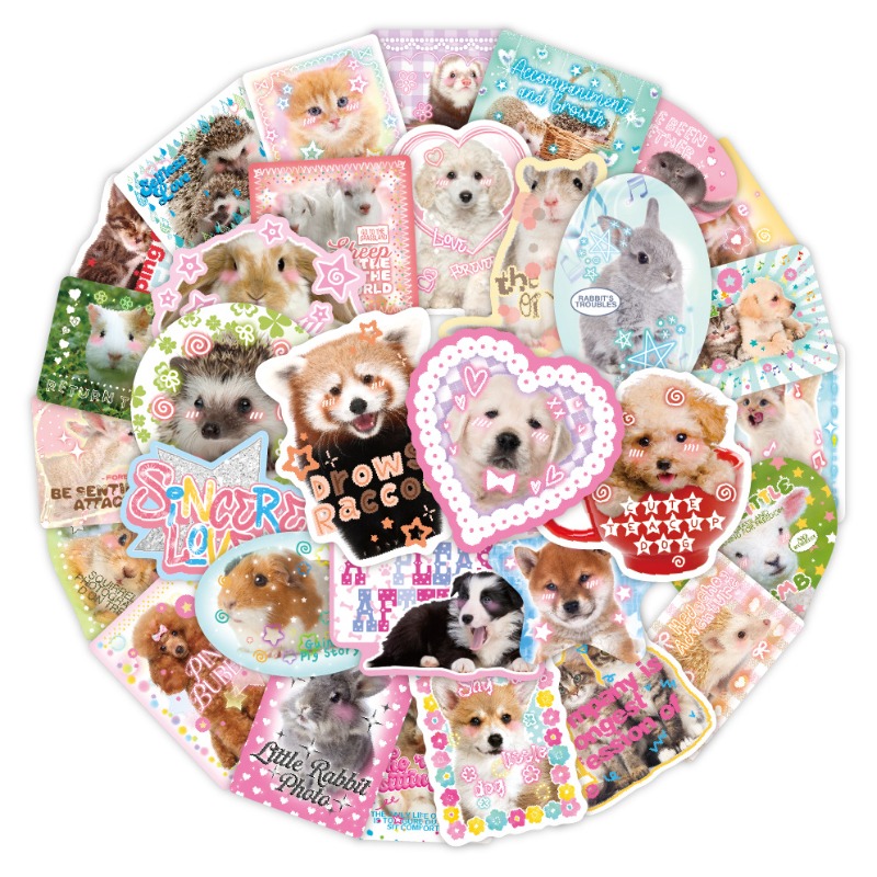 Phone Cases Kids - 50 unids/set Kawaii moda álbum de